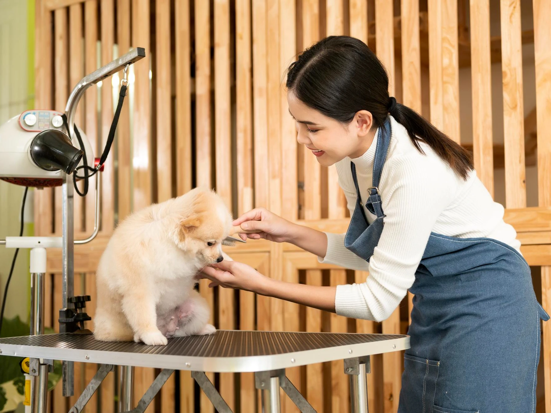 Full-Service Grooming Salons
