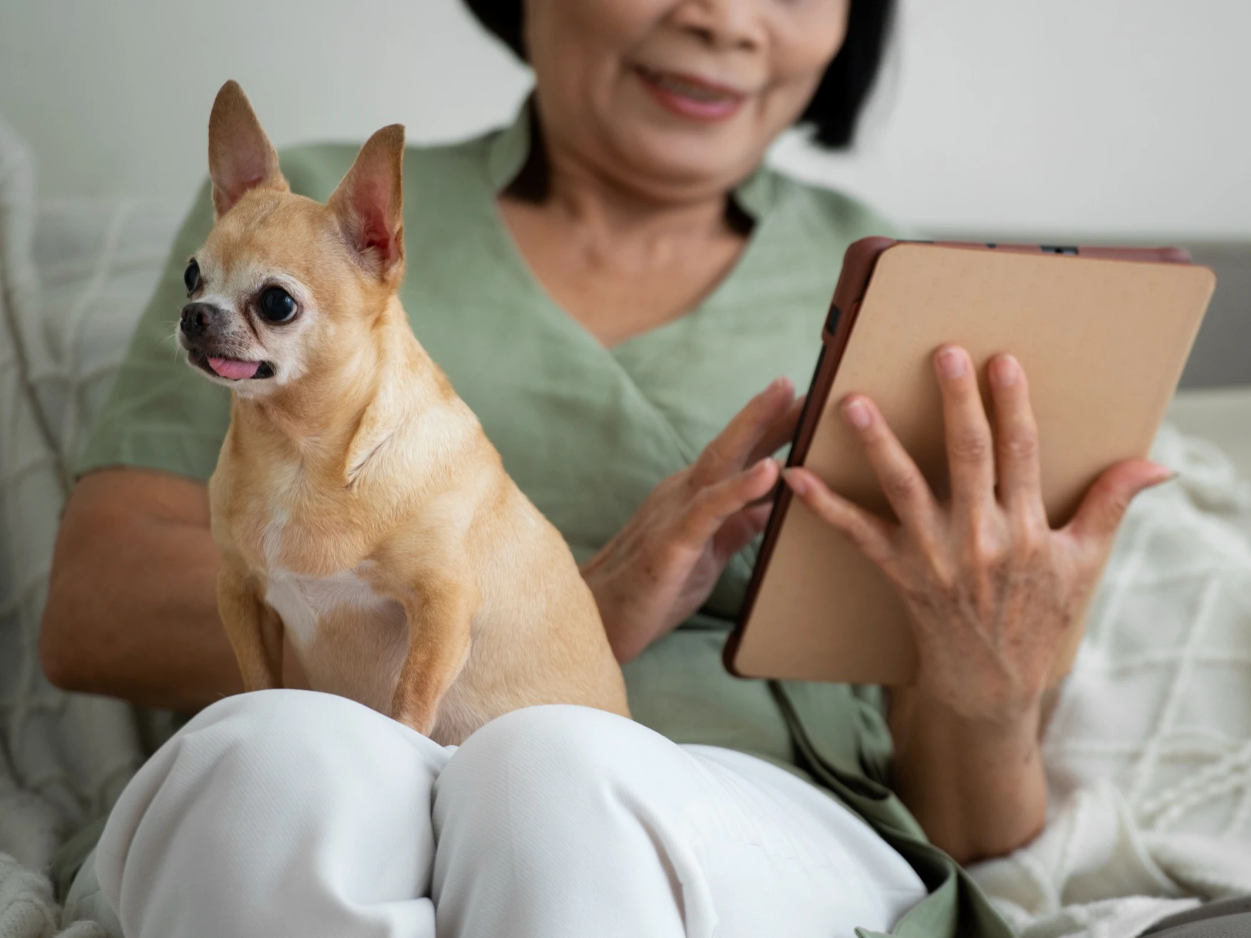 Powerful Pet & Customer Relationship Management